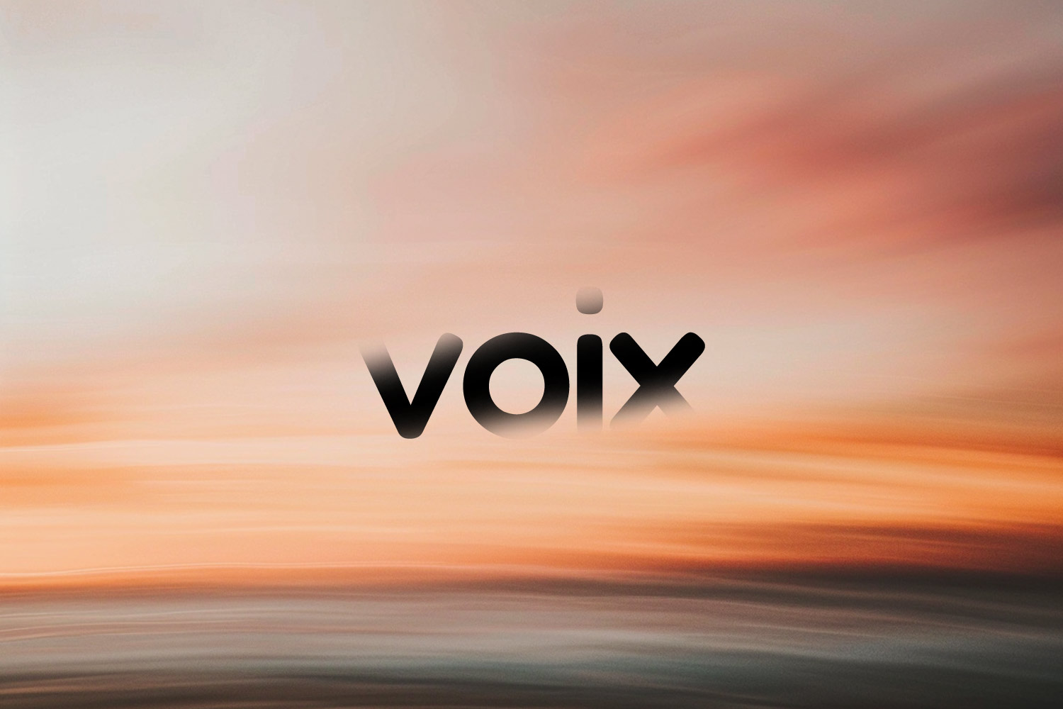 Article image: Introducing Voix